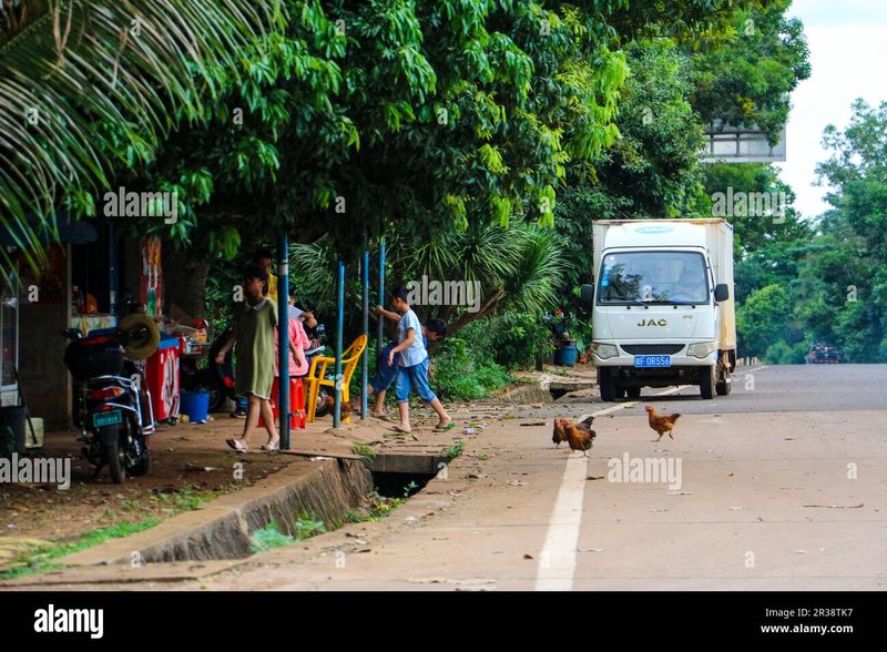 Chicken road in Germany Chicken road in Germany